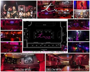 "Tru Hollywood Nightclub Collage 750x600"